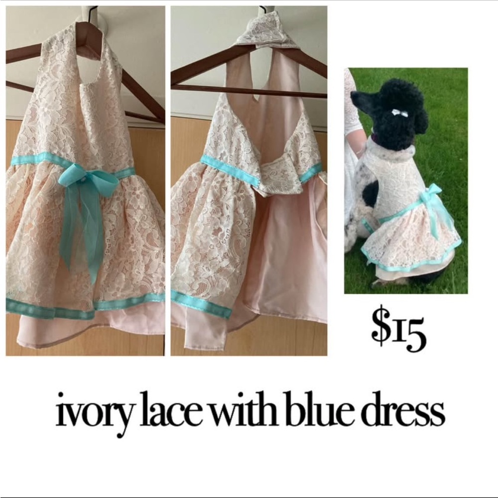 Ivory Lace Dress with Blue Accents